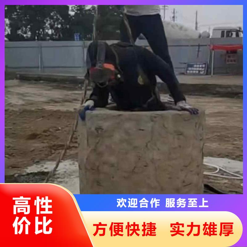 潜水员服务 水下救援机器人专业品质