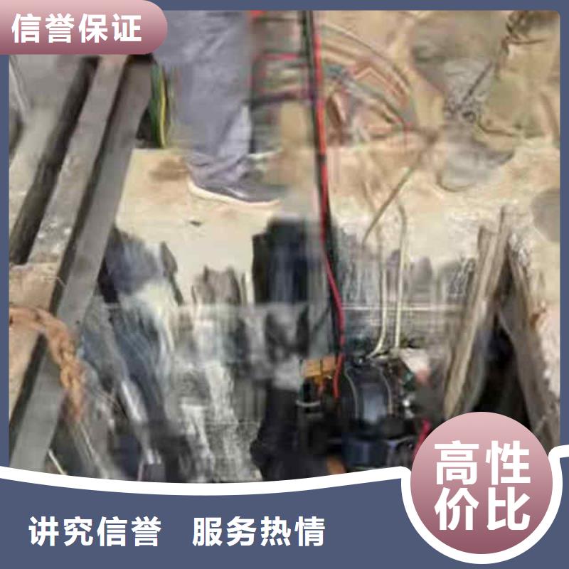 潜水员服务 水下救援机器人专业品质