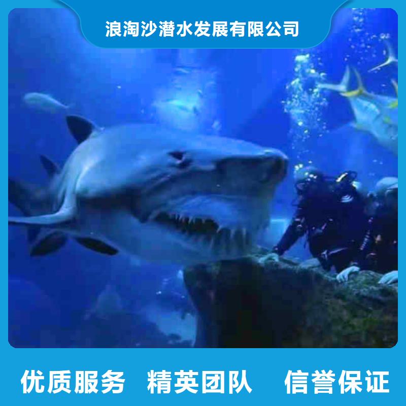 潜水员服务水下清障口碑商家
