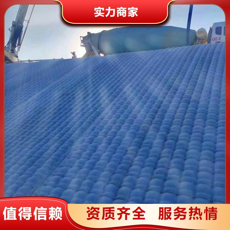 潜水员服务 水下救援机器人专业品质