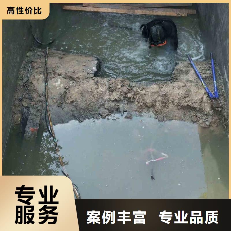 潜水员服务蛙人救援团队专业承接