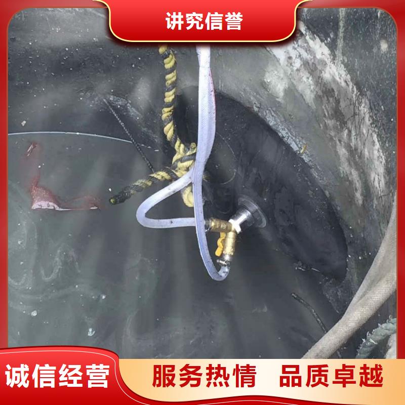 潜水员服务 水下救援机器人专业品质