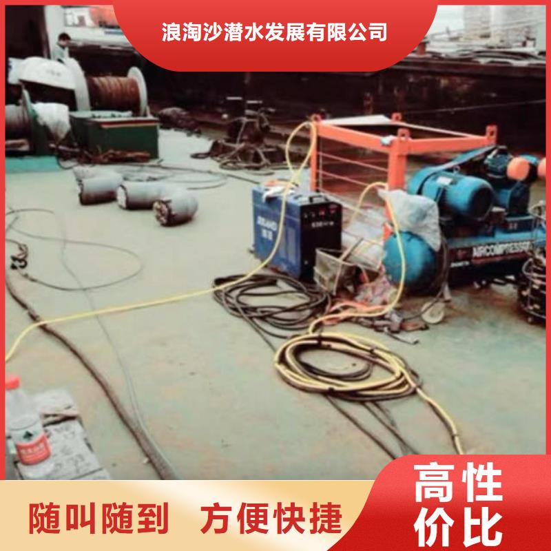 潜水员服务 水下救援机器人专业品质