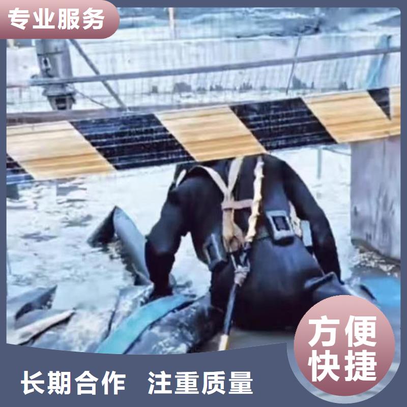 潜水员服务 水下救援机器人专业品质