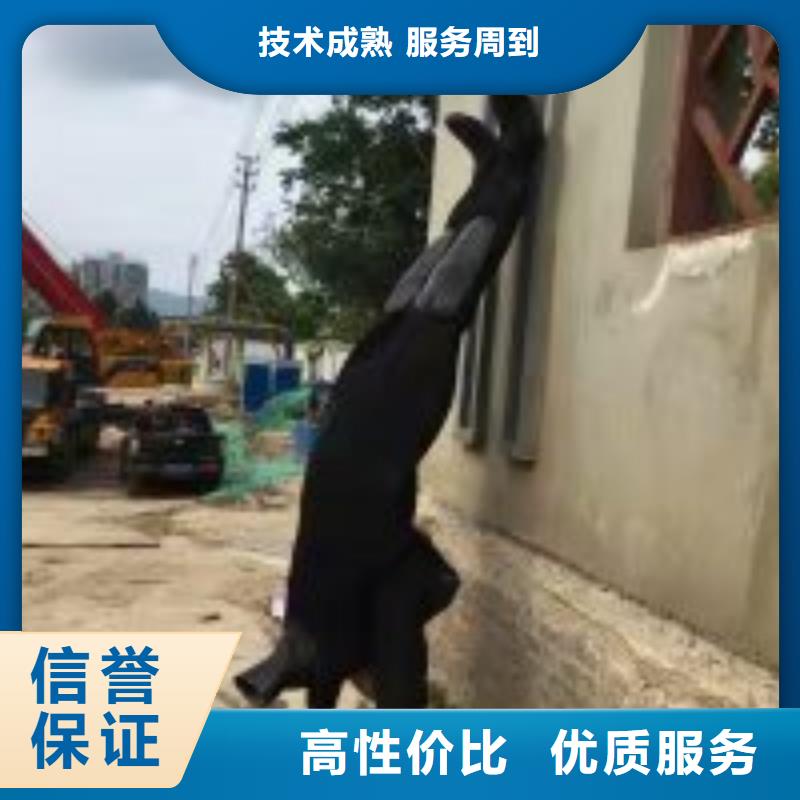 堤防工程施工视频-堤防工程施工_青海省玉树市市场覆盖海南|西宁|海西|海北等
