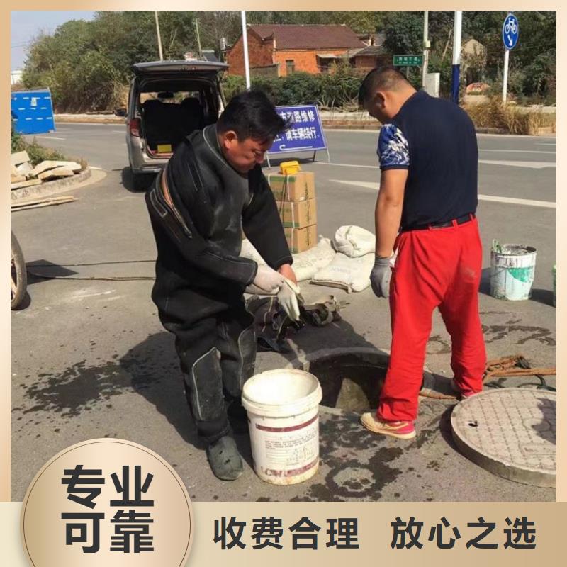 水下桩基检测收费生产定制