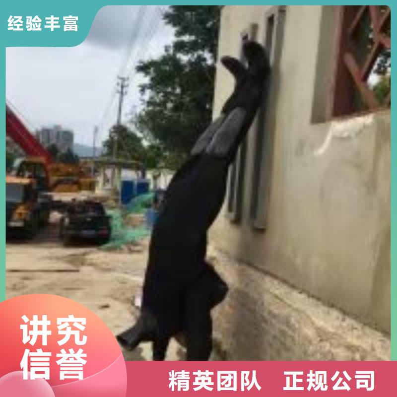 水鬼潜水水下摄像 队伍