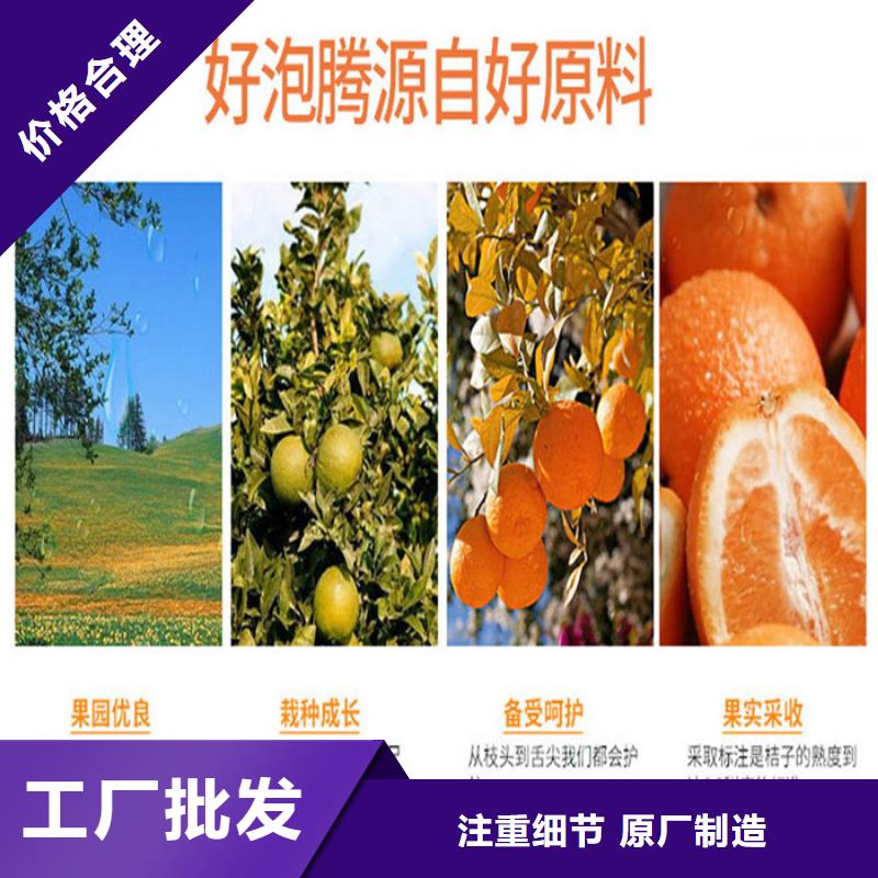 云龙区粉剂