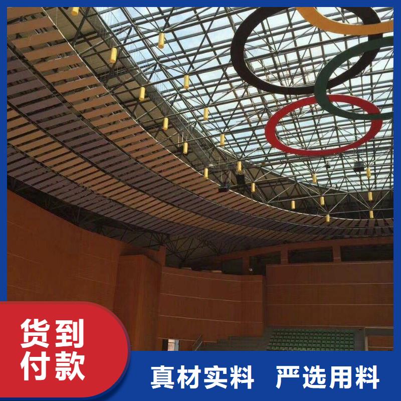 县专业体育馆吸音改造方案--2025近方案/价格
