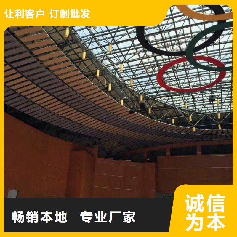 县体育馆声学改造方案--2025近方案/价格