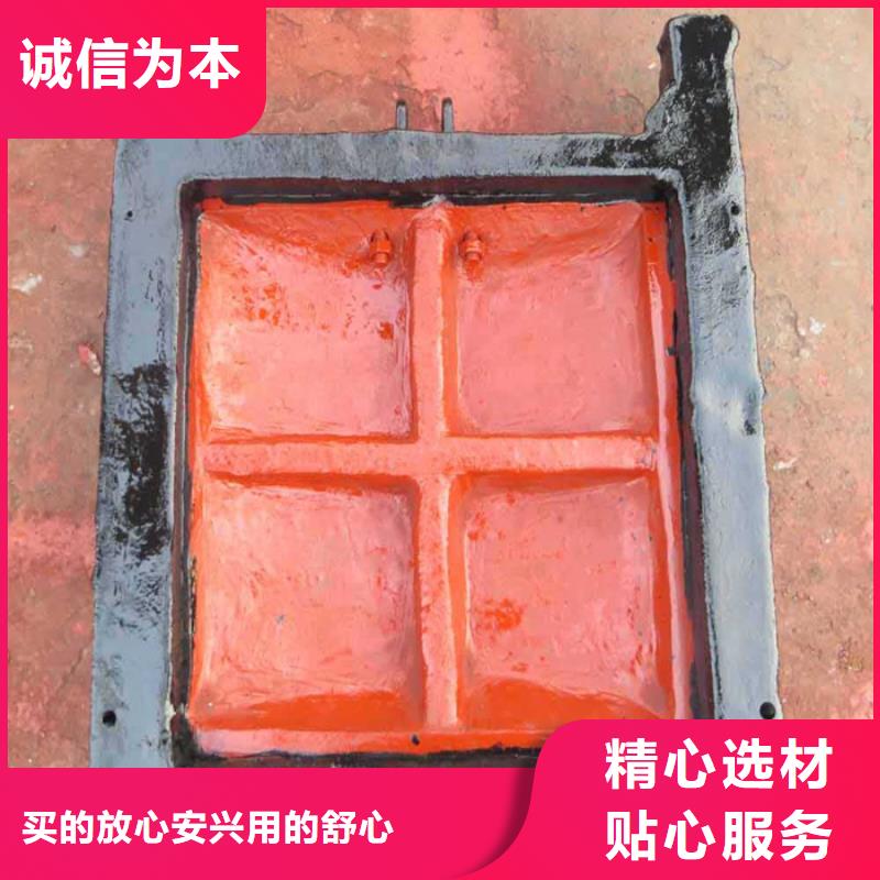靠谱的铸铁镶铜闸门供货商