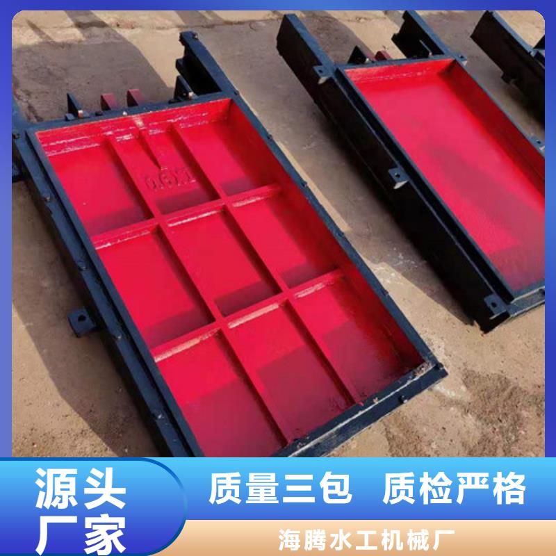 为您提供双向铸铁闸门厂家