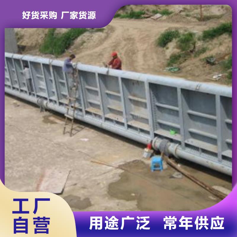 重信誉翻板闸门厂商