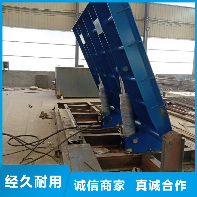 合页坝行业经验可信赖
