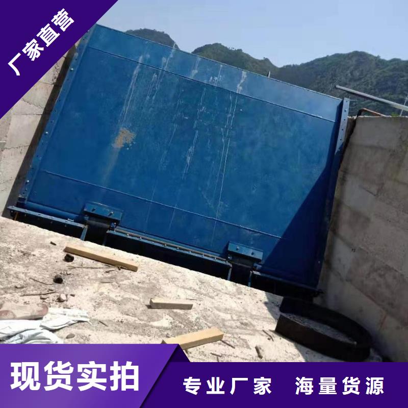 重信誉翻板闸门厂商
