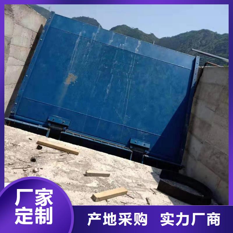 多年专注景观闸门生产的厂家