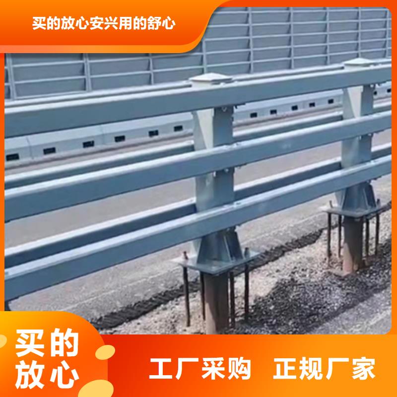 【 防撞护栏_道路护栏现货供应】当地品牌