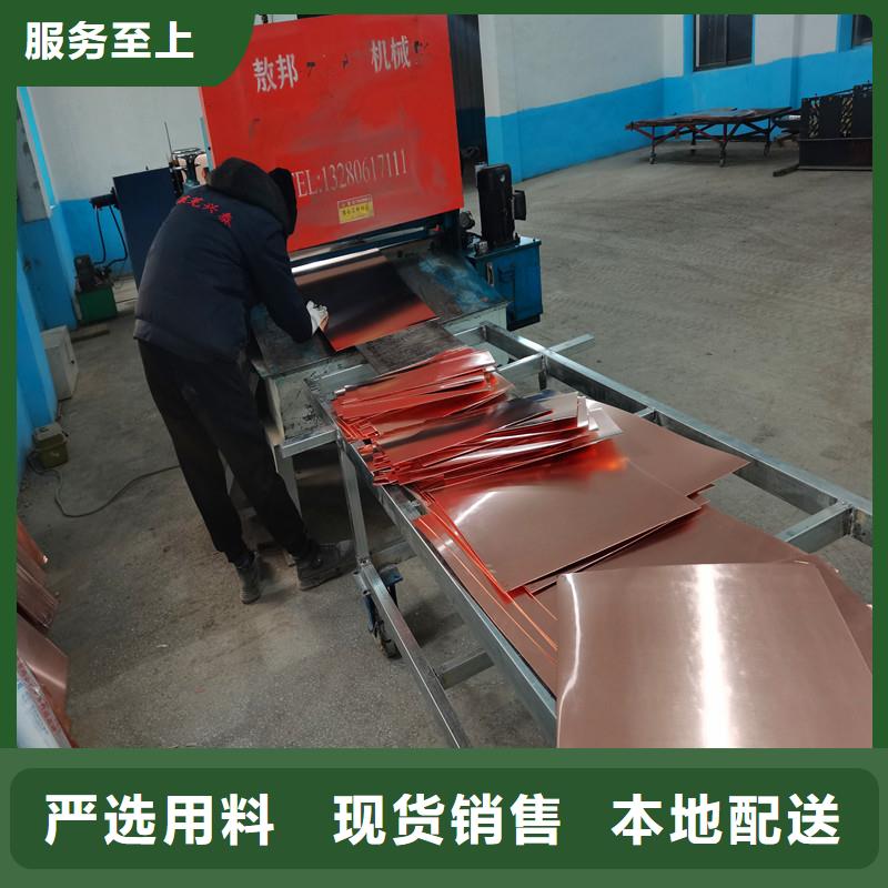 止水铜片土工格栅专业生产N年