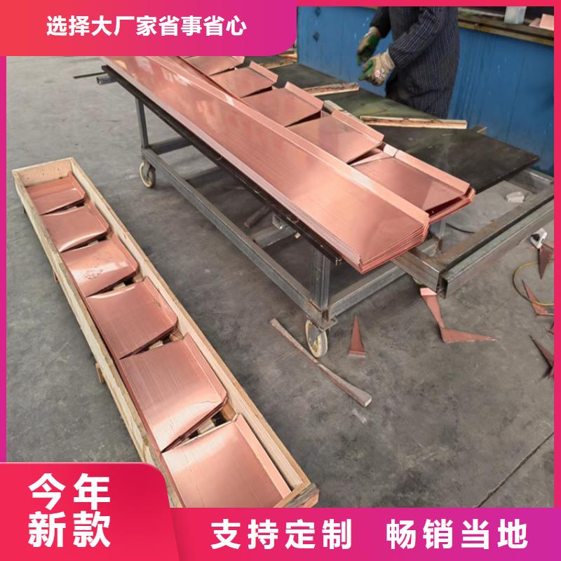止水铜片土工格栅专业生产N年