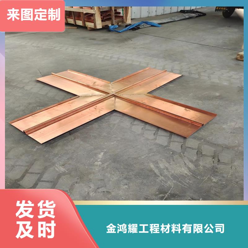 止水铜片土工格栅专业生产N年