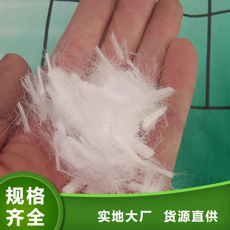 波浪形钢纤维来厂考察价格