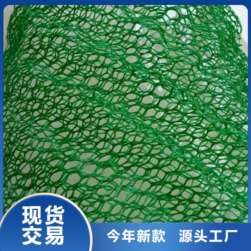 三维植被网砂浆混凝土纤维专业生产品质保证