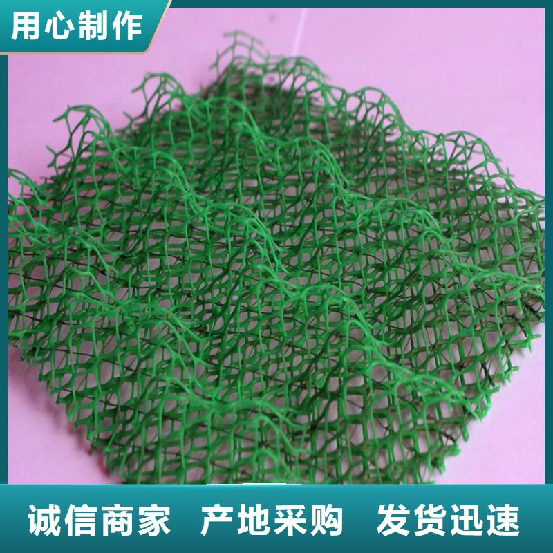 三维植被网铜止水应用领域