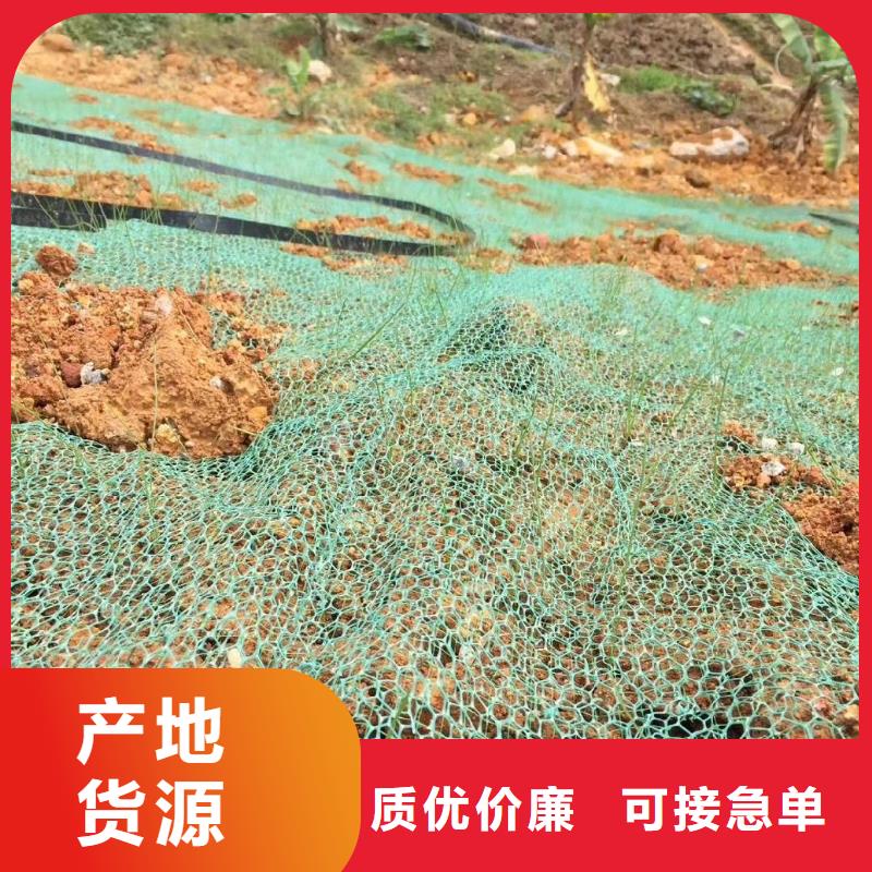 三维土工网垫图片生产厂家-值得信赖