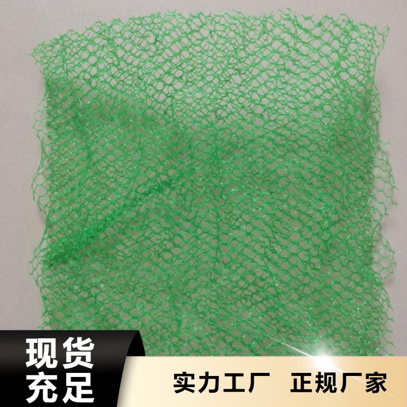 三维土工网植草护坡厂家-值得信赖