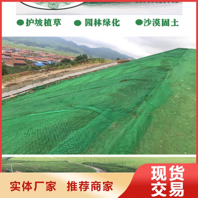 三维植被网规格参数量大从优