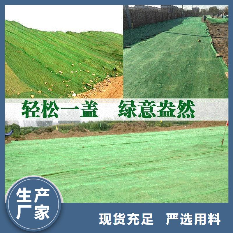 三维植被网沥青麻丝板实力厂家直销