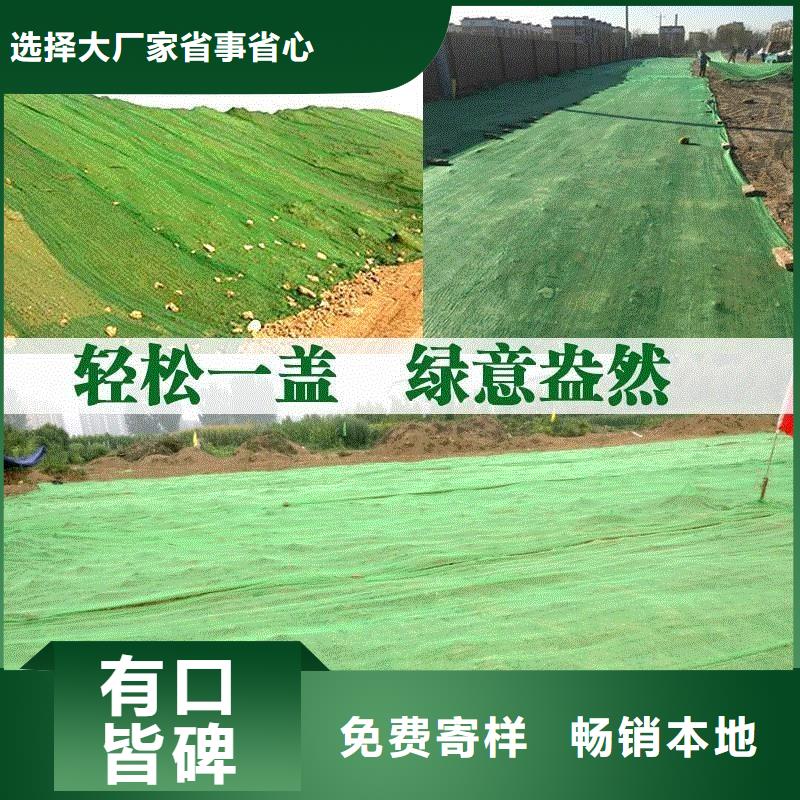 三维植被网铜止水应用领域