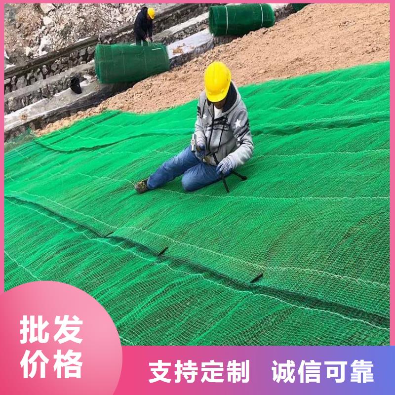 三维植被网沥青麻丝板实力厂家直销