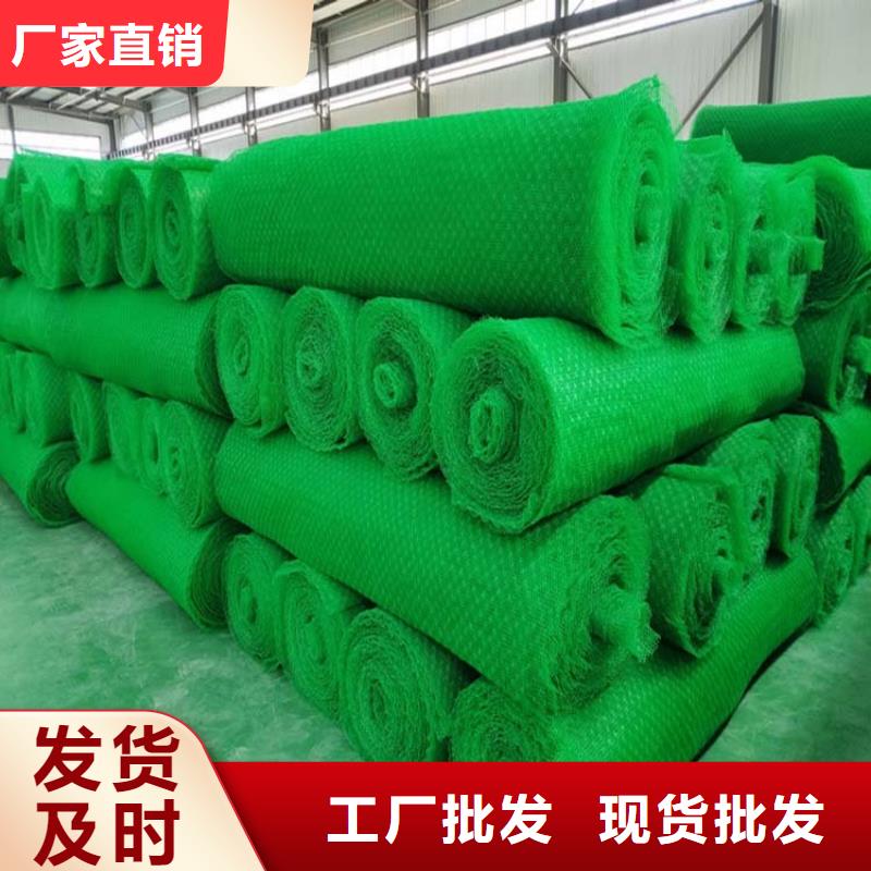 三维土工网植草护坡厂家-值得信赖