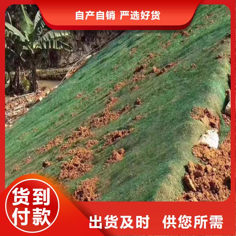 三维植被网砂浆混凝土纤维专业生产品质保证