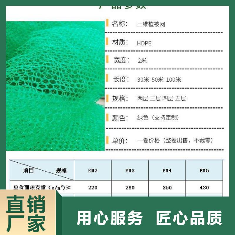 三维植被网沥青麻丝板实力厂家直销