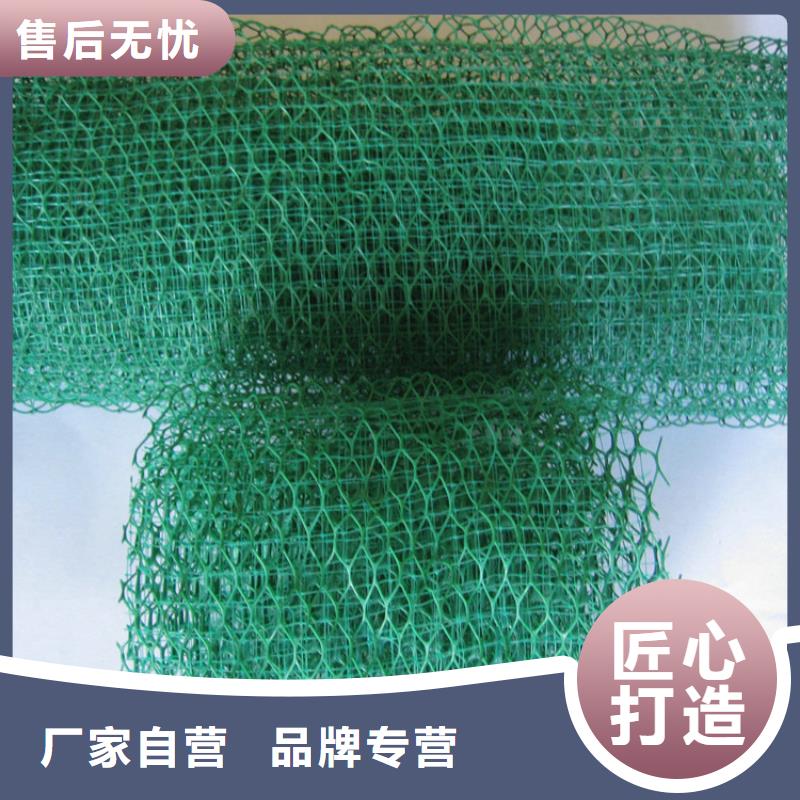 三维土工网植草护坡厂家-值得信赖