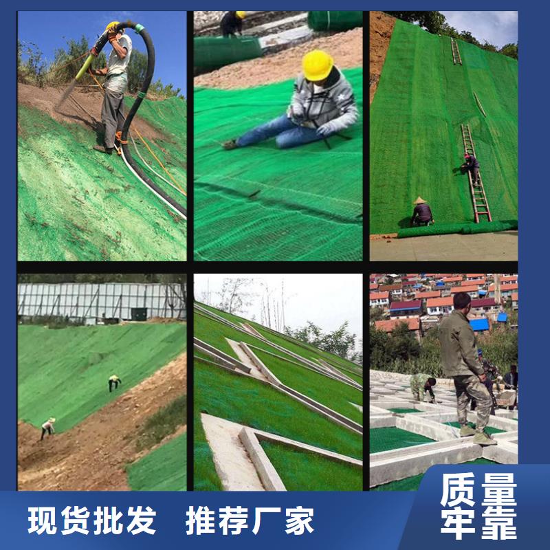三维植被网铜止水应用领域