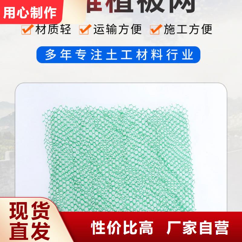 三维植被网铜止水应用领域