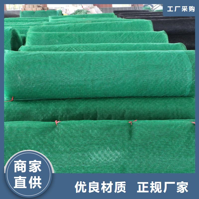 三维土工网垫图片生产厂家-值得信赖