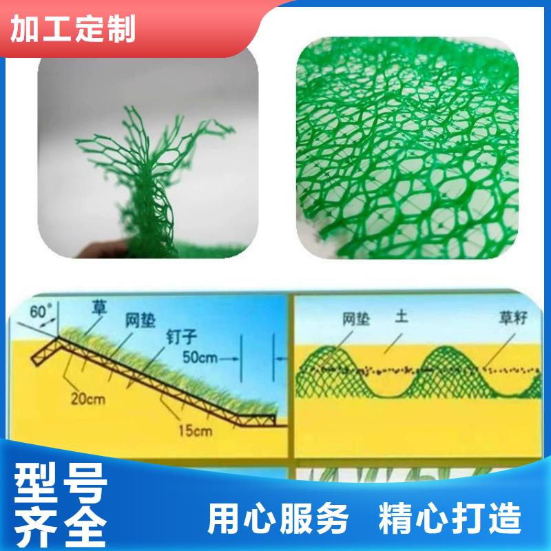 【三维植被网】pp杜拉纤维长期供应