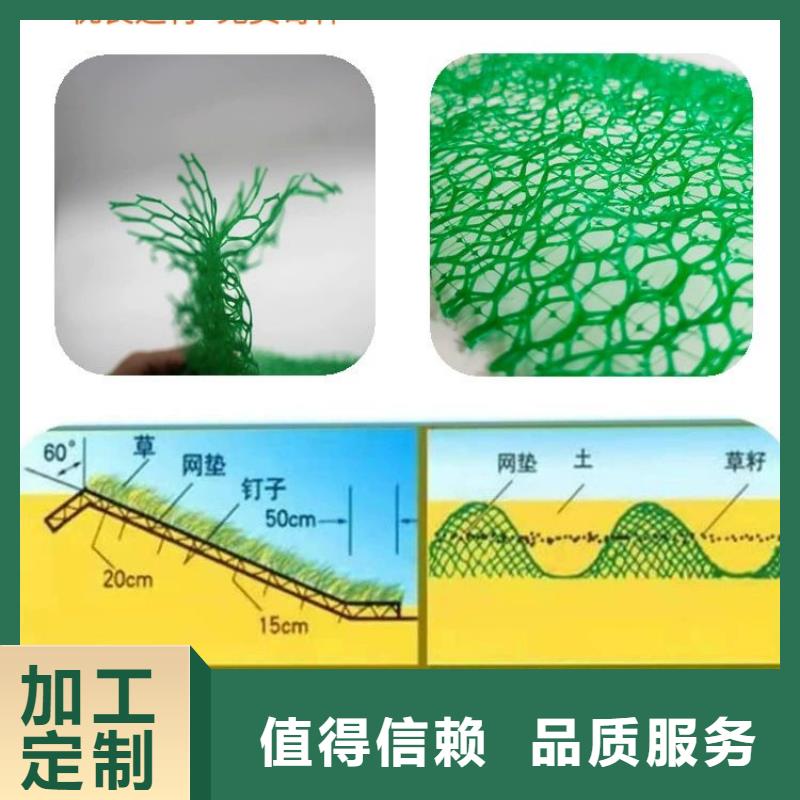 三维土工网垫图片生产厂家-值得信赖