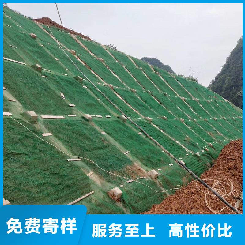 三维土工网垫图片生产厂家-值得信赖