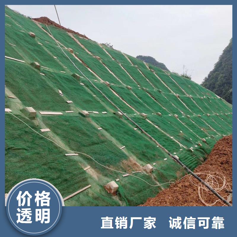 【三维植被网】pp杜拉纤维长期供应