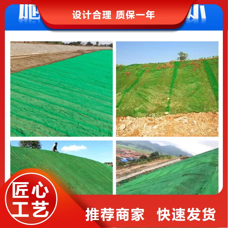 三维植被网铜止水应用领域