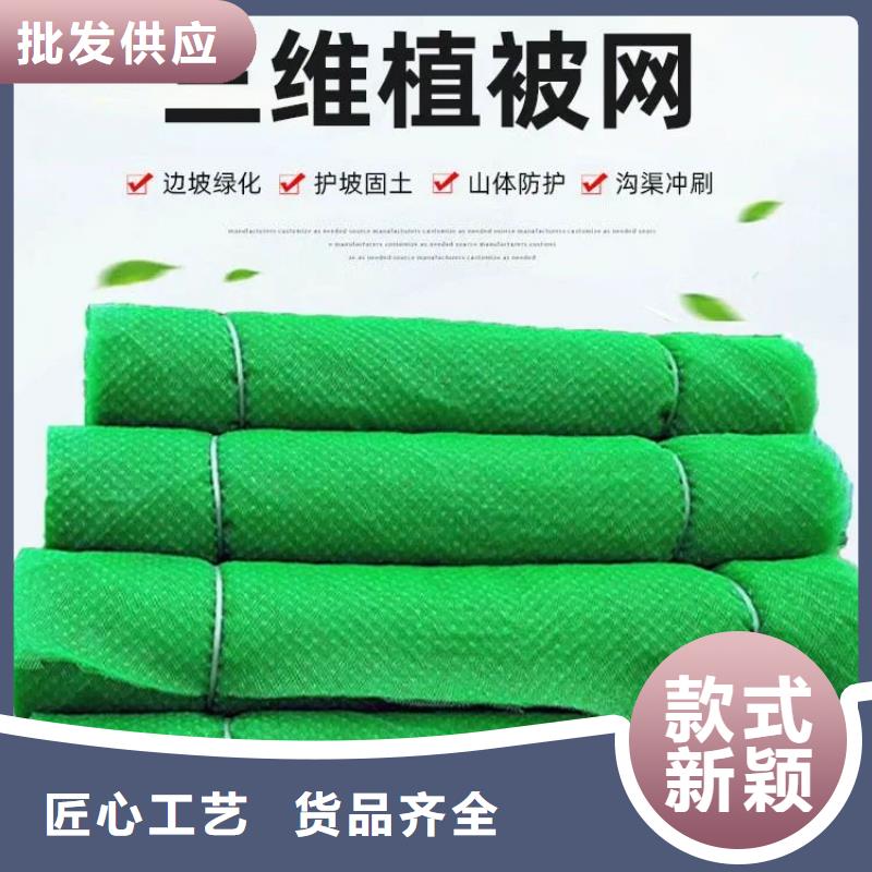 三维植被网铜止水应用领域