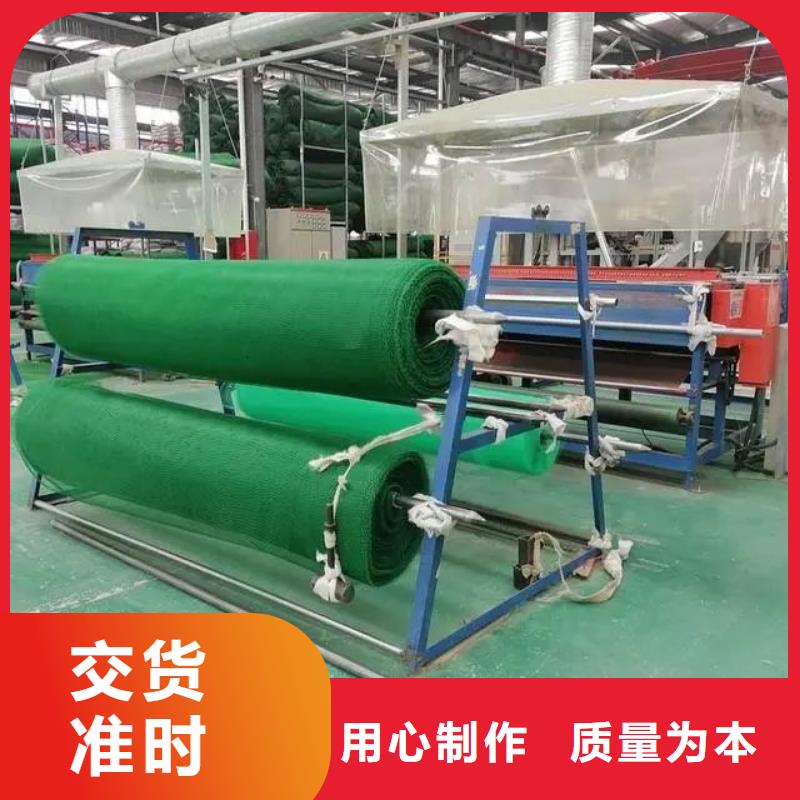 【三维植被网】pp杜拉纤维长期供应