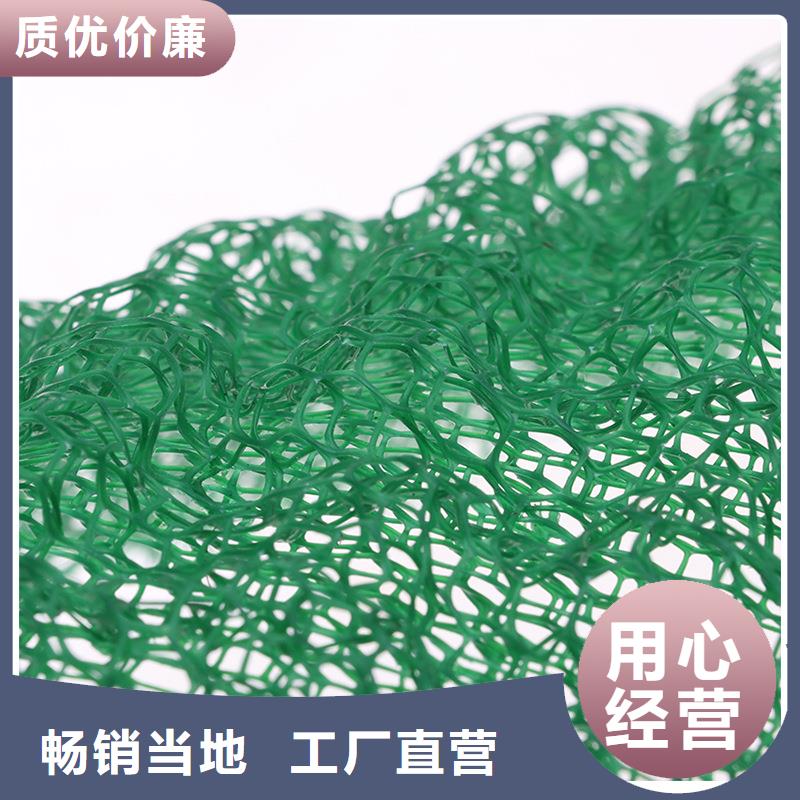 三维植被网沥青麻丝板实力厂家直销