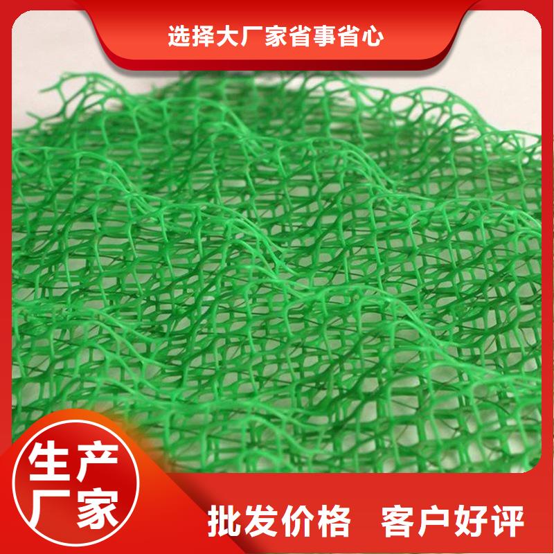 三维植被网沥青麻丝板实力厂家直销