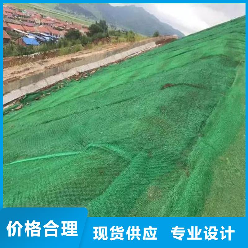 【三维植被网】pp杜拉纤维长期供应